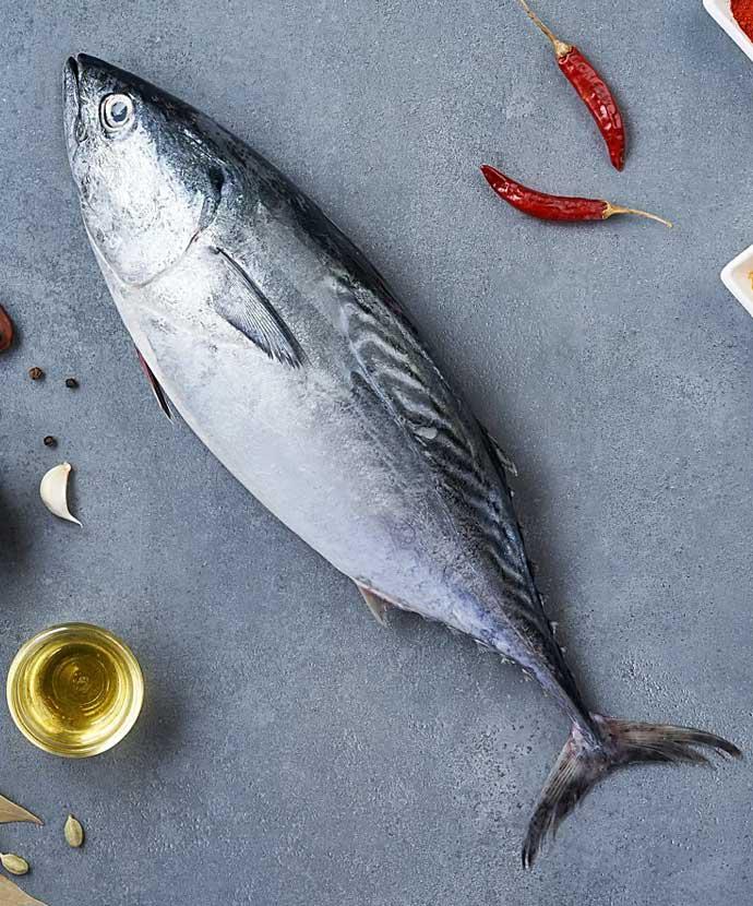 Tuna Fish Cutting 900g