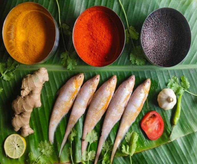 AMUDI  FISH 500 GM