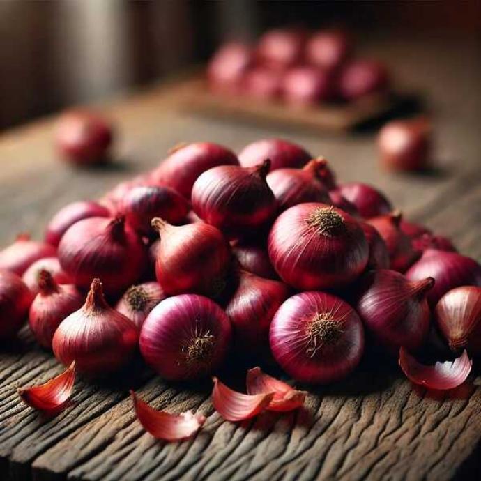 FRESH ONION