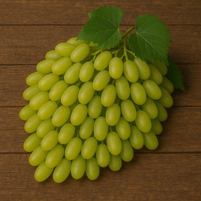 FRESH  GREEN ANGUR