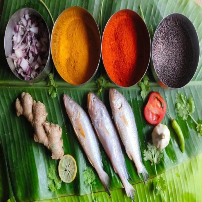 FRESH BHOLA FISH