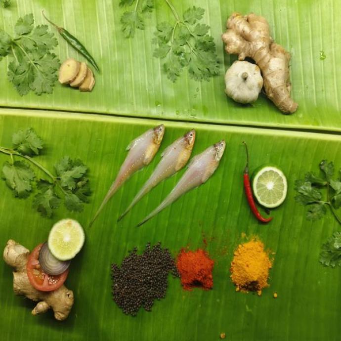 RULI FISH
