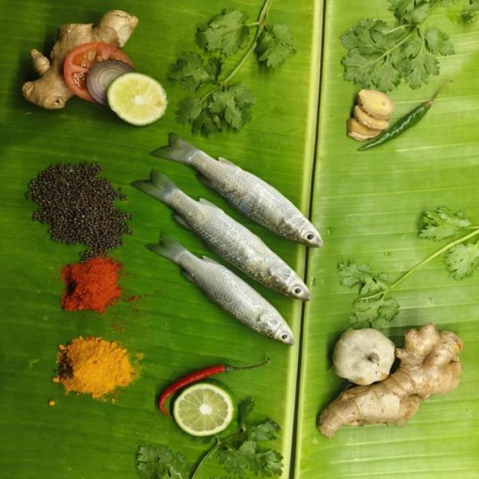 FRESH FARSA FISH