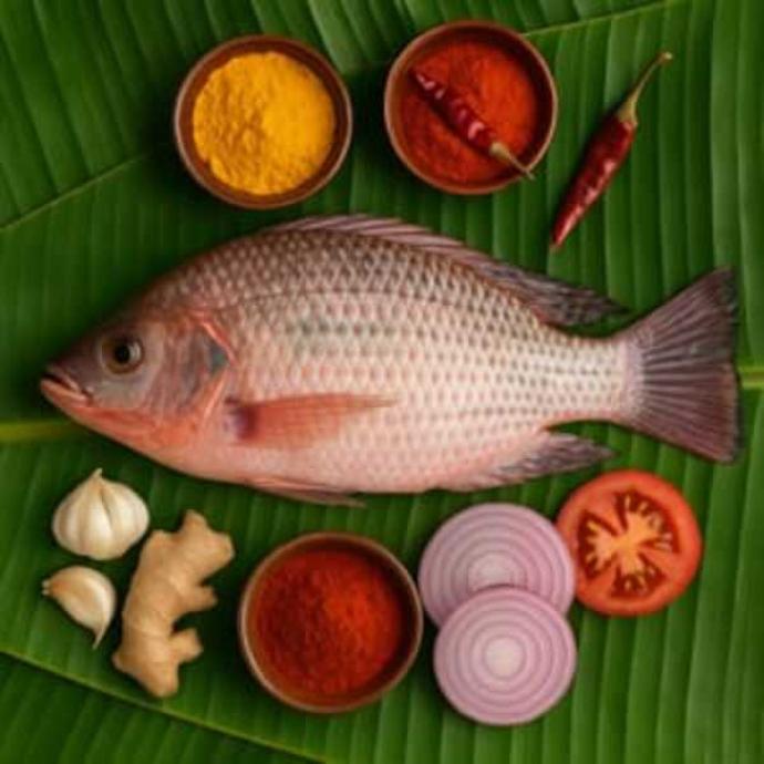 FRESH TELAPIA FISH