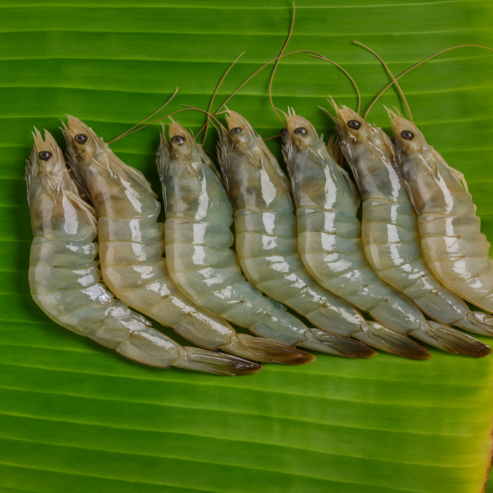 FRESH CHINGRI FISH