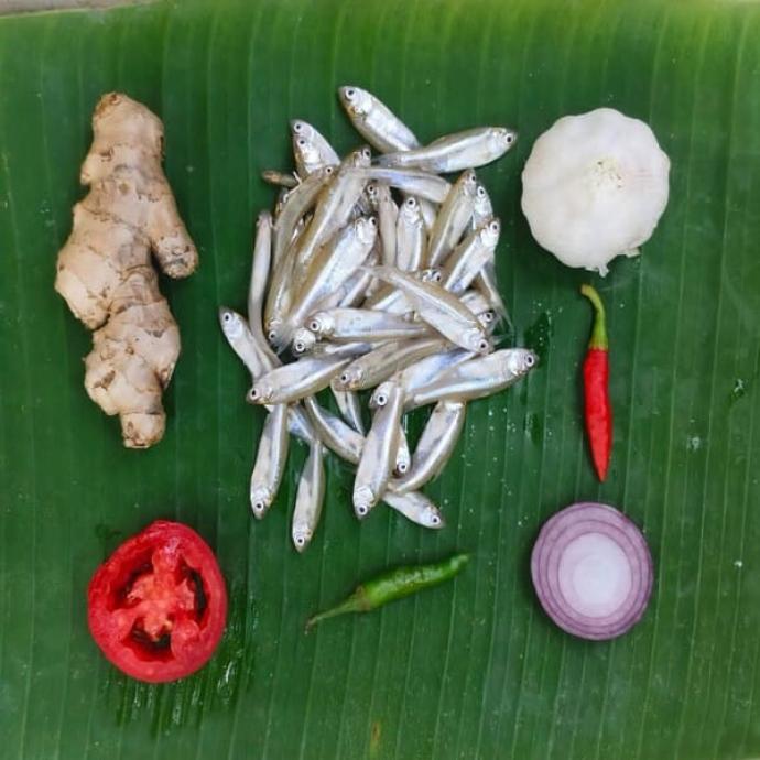 FRESH CHUNO FISH