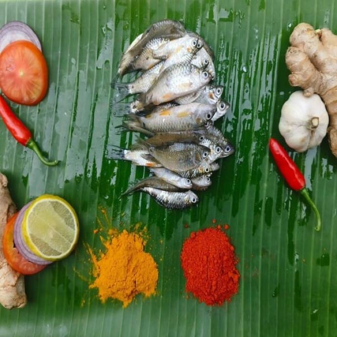 FRESH PUTI FISH