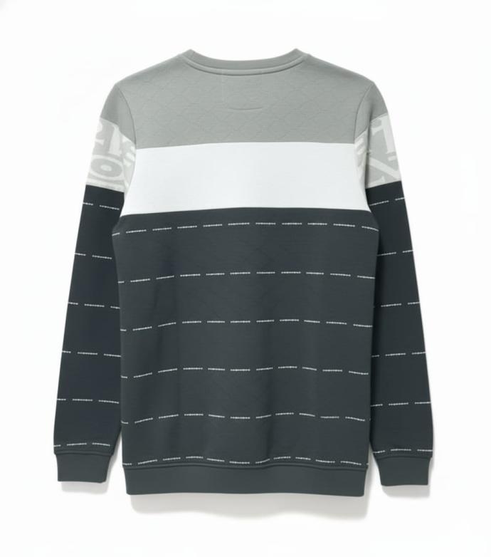 Men's light grey Color Graphic CrewNeck Sweatshirt J
