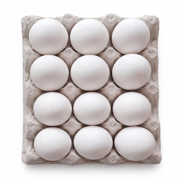 Boiler chicken egg  12 pieces  pack of 1