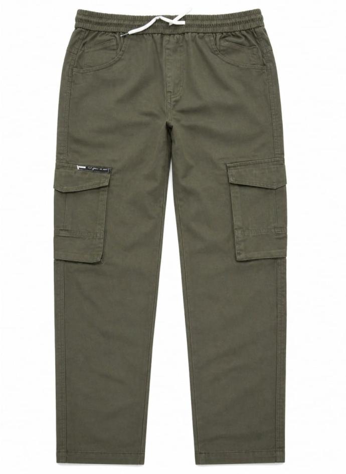 Men olive color 6 pocket cargo