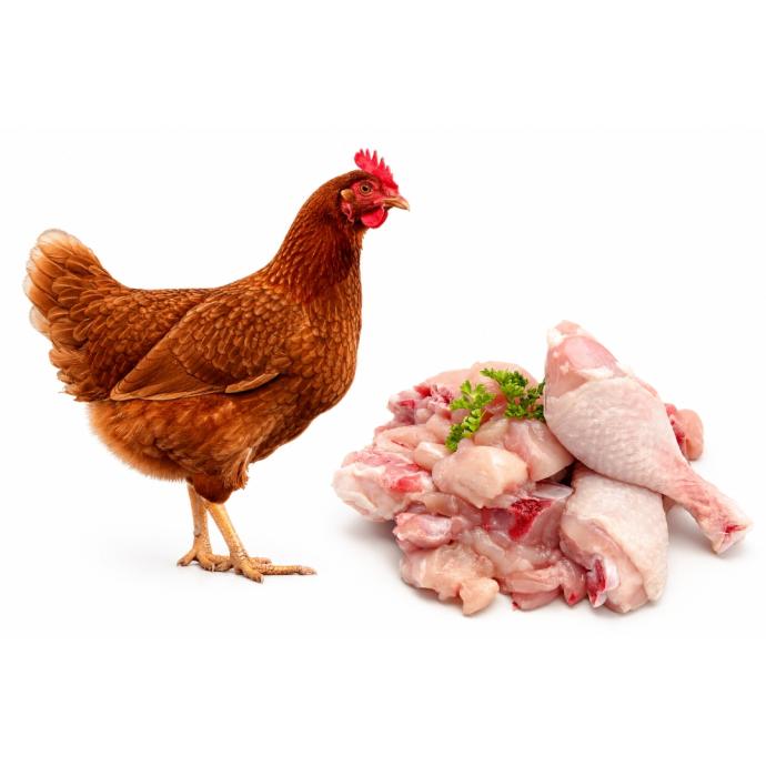 MINI BOILER CHICKEN